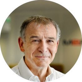 Luc Themelin CEO Mersen
